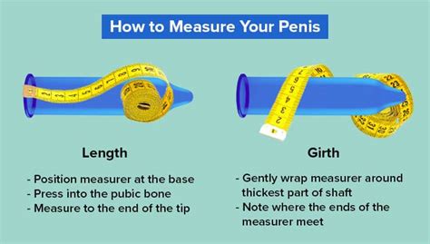 6.5 inch dick|Science goes to great lengths to measure average penis size.